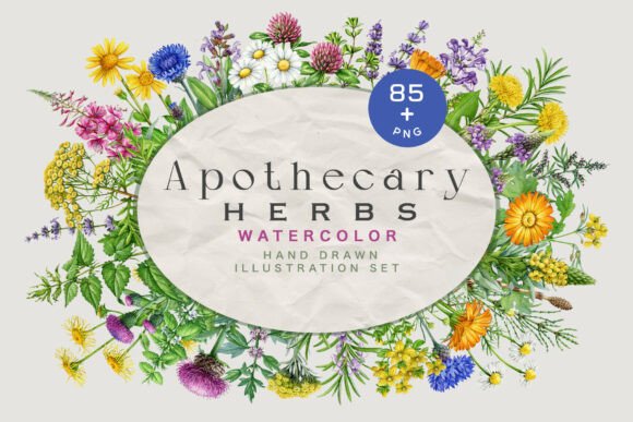Download Apothecary Herbs Illustration Set - Herbs Collection
