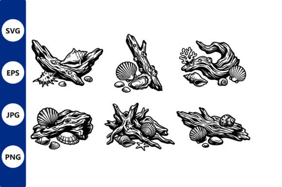 Download Driftwood Seashell Line Art - Premium Resources