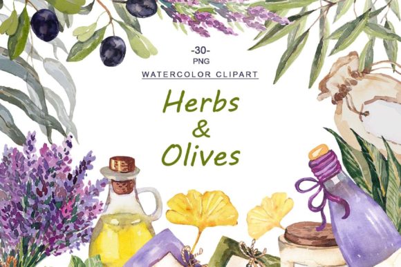 Download Watercolor Herbs and Olives Clipart - Herbs Collection