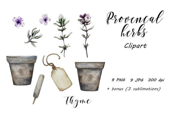 Download Provence Herbs, Thyme Clipart PNG, JPG - Herbs Collection