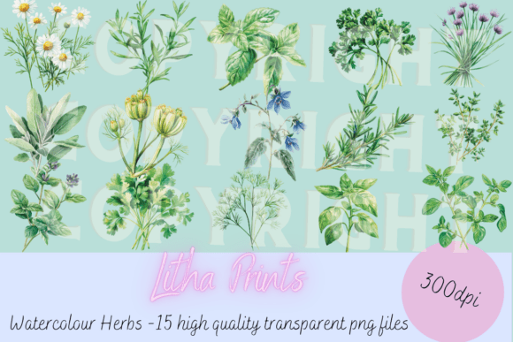 Download Watercolour Herbs - Herbs Collection