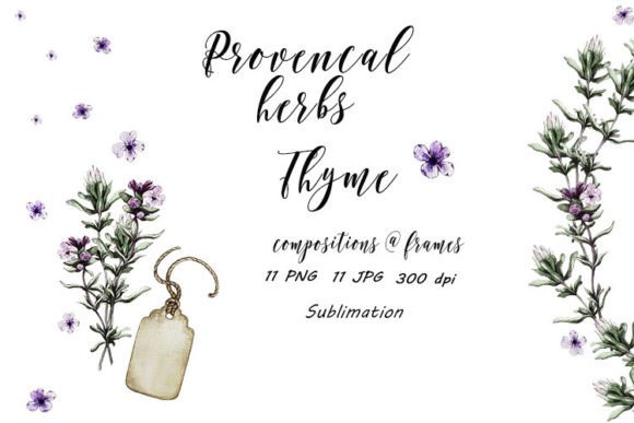 Download Thyme Provence Herbs Sublimation JPG PNG - Herbs Collection